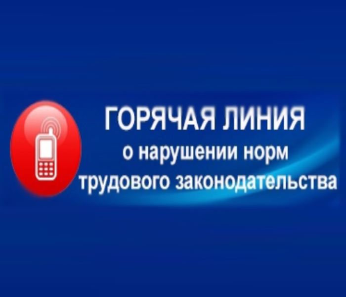 Внимание! Горячая линия!.