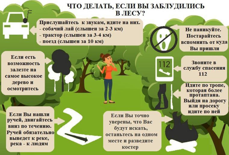 Если вы потерялись в лесу..