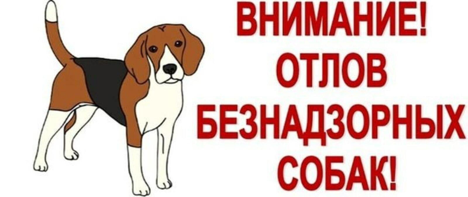 Внимание, жители Тереньгульского района!.