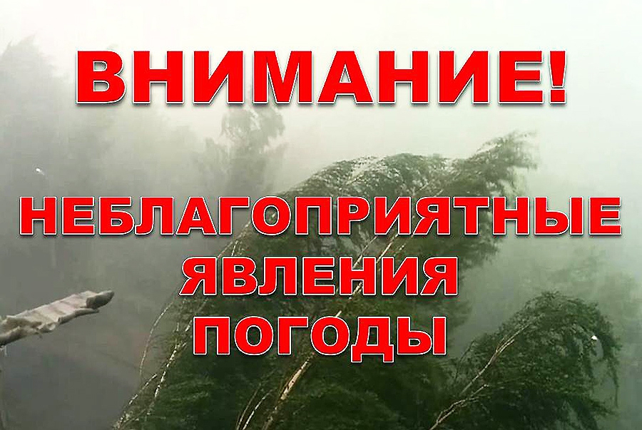 Федеральной службы по гидрометеорологии и мониторингу окружающей среды «Ульяновский центр по гидрометеорологии и мониторингу окружающей среды – филиал ФГБУ «Приволжское УГМС».