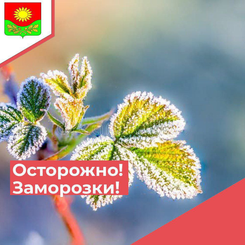 Ожидаются заморозки.