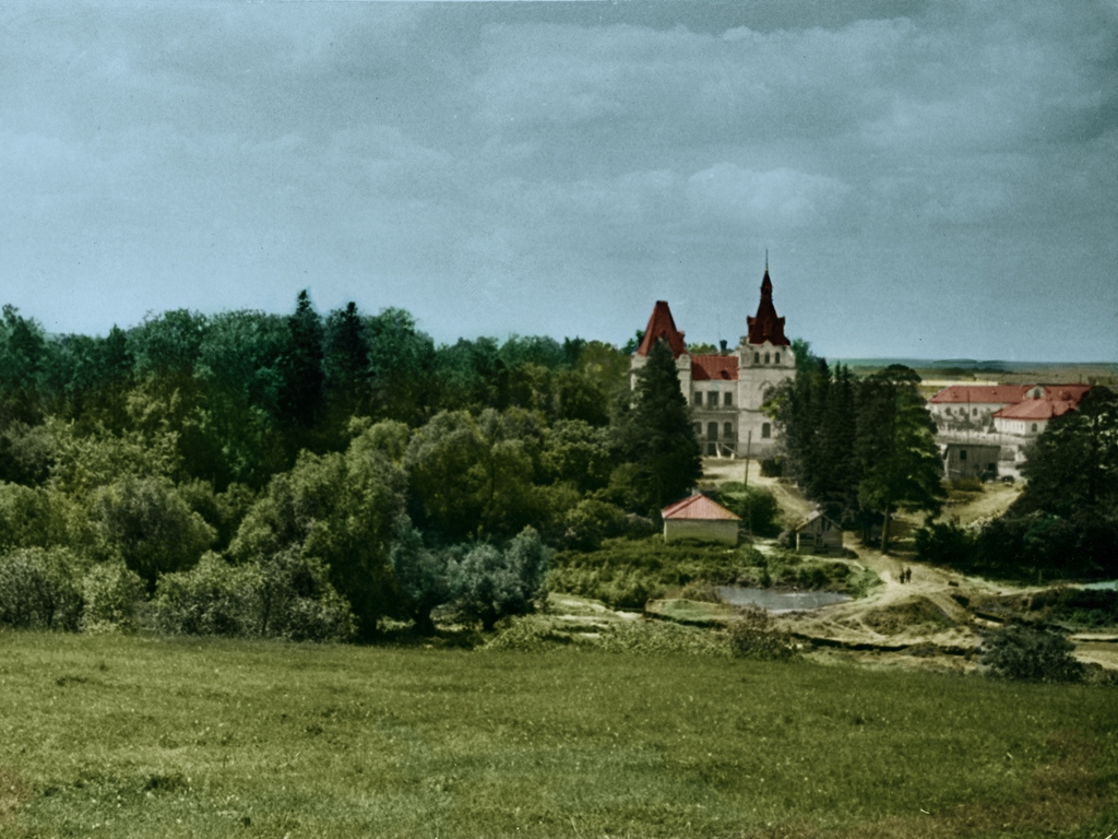 Усадьба Афанасьевых. с. Скугареевка.