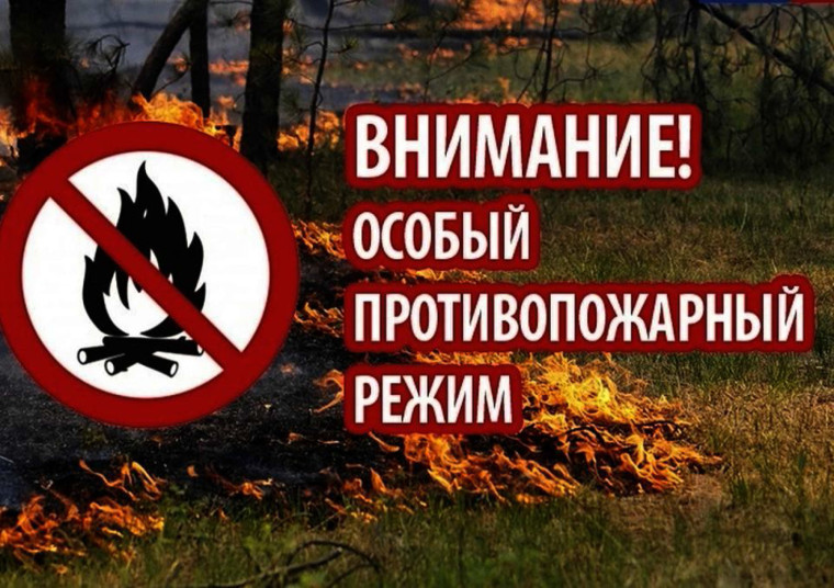 На территории Ульяновской области начнет действовать особый противопожарный режим с 5 июня до 31 августа 2024 года.. На территории Ульяновской области начнет действовать особый противопожарный режим с 5 июня до 31 августа 2024 года..