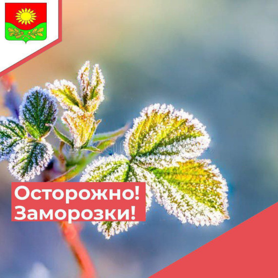 Ожидается «оранжевый» уровень опасности. Ожидается «оранжевый» уровень опасности.